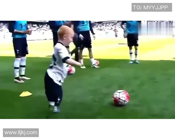 足球明星摇头摆件的魅力与收藏价值探秘